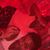 Lisa R. Parker's profile image