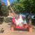 Amy Sneyd's profile image