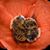Sandra Wright's profile image