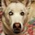 Jennifer Breeze Moran Schultze's profile image