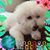 Larissa Fulkerson's profile image