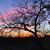 Vicki Keen's profile image