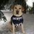 Karen Bergstrom's profile image