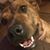Darlene Burton's profile image
