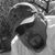 Chris Ruttler's profile image