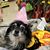 Anita Riley's profile image
