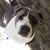 Sandra Owenby's profile image