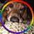 Kirsten Rasmussen's profile image