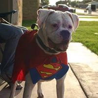 Debbie Flynn's profile image
