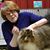 Carol Barton's profile image