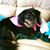 Ursula Ann Jaeckle Cobb's profile image