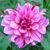 Pam C Hunter's profile image
