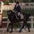 Gail Rentmeester's profile image