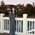 Criselle Carlos's profile image