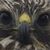 Tom Wymelenberg's profile image