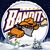 Wendy Nelson Brodzik's profile image