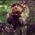 Mandy Shahan's profile image