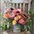 Donette Bennett's profile image