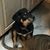 John Britting's profile image