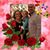 Jennifer Steiner's profile image