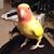 Jennifer Wolf Anderson's profile image