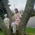 Christina Zaccagnino's profile image