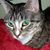 Jessica Fredrickson's profile image
