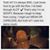 Shae Williams's profile image