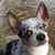 Lee Ann Lewin's profile image