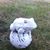 Terry Chase's profile image