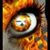 Jim Brobst's profile image