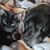 Jennifer Dornbusch Wethington's profile image