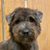 Jo Lynn's profile image