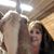Lorena Santek-Burggraaf's profile image