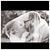 Nadine Henne's profile image