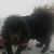 Ellen Burch's profile image