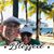 Evie Agustin Colon Legon's profile image