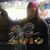 Sandra Zdenovec's profile image