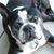Jeri Kittredge's profile image