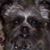 Gloria H Ashbaugh's profile image