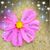 Debbie Trussel's profile image