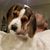 Susan McMillan Ellermeier's profile image