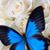 Nancy Moss Stamey's profile image