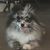 Jackie Silcox M.'s profile image