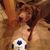 Lisa Doty-Papes's profile image