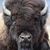 Robert Terry's profile image