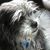 Teri Pasley's profile image