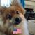 Becky Cobstill Hardesty's profile image