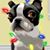 Karen Stieg Wilson's profile image