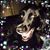 Wendy Radermacher's profile image